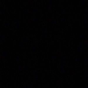 Meet your Posher, Randarious